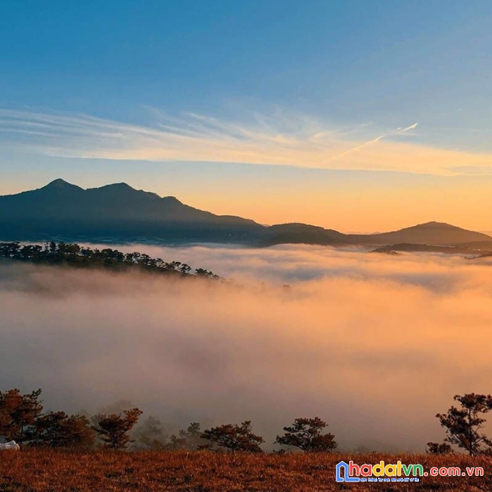 Đất dân cách cao tốc 1km, 240m thổ cư, chỉ từ 800 triệu