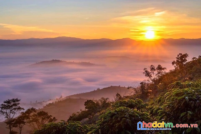 Cần ra gấp 1 nền 150 mét vuông tại bảo lộc view săn mây