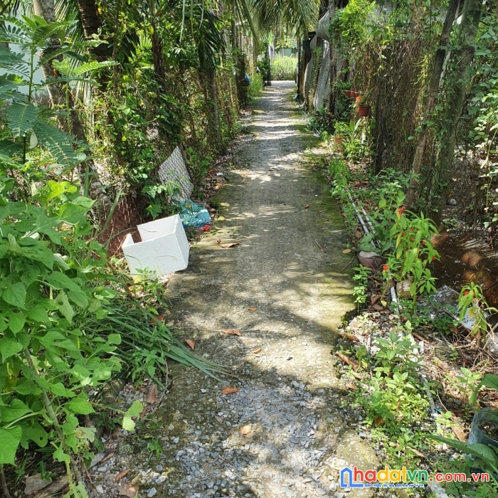 Bán đất xây nhà giá rẻ ở trung an. mỹ tho. tiền giang.