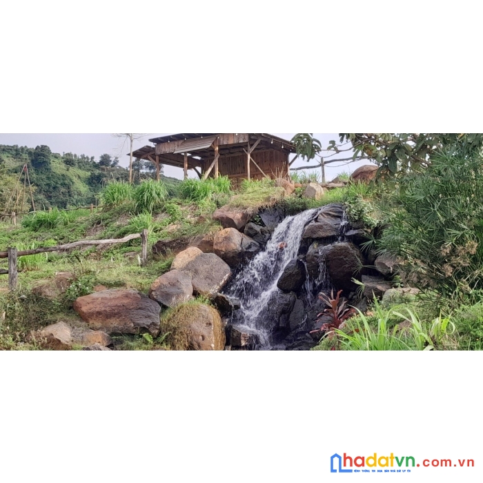 Sở hữu ngay lô đất đẹp vị trí đắc địa tại xã tân nghĩa, huyện di linh, lâm đồng