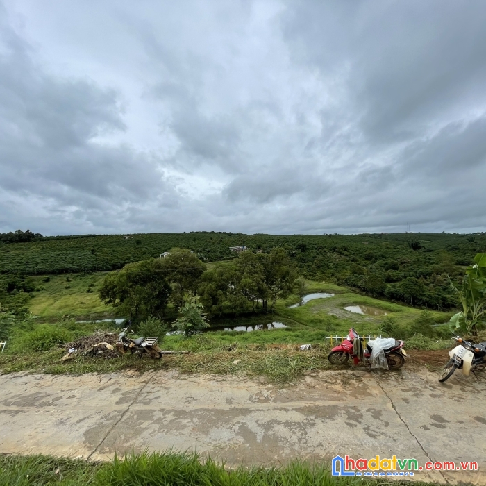 Đất nền đà lạt - lâm đồng đón sóng cao tốc dầu giây - liên khương