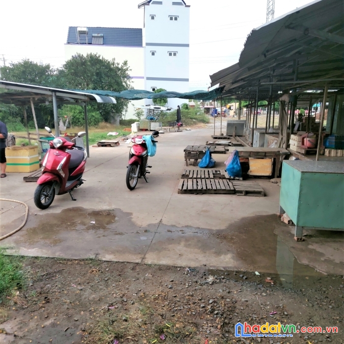 Bán gấp nhà mặt tiền chợ long bình điền. chợ gạo. tiền giang