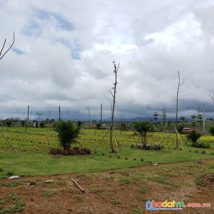 Cần bán gấp lô đất nền bảo lộc 5*20 full thổ cư. lh 0902946978 vinh