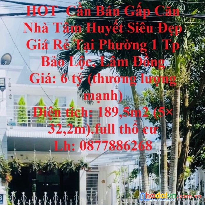 Hot  cần bán gấp căn nhà tâm huyết siêu đẹp giá rẻ tại phường 1 tp bảo lộc, lâm đồng
