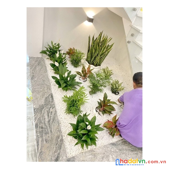 Bán nhà riêng , tại đường hoàng quốc việt, phường phú thuận, quận 7, tp. hồ chí minh