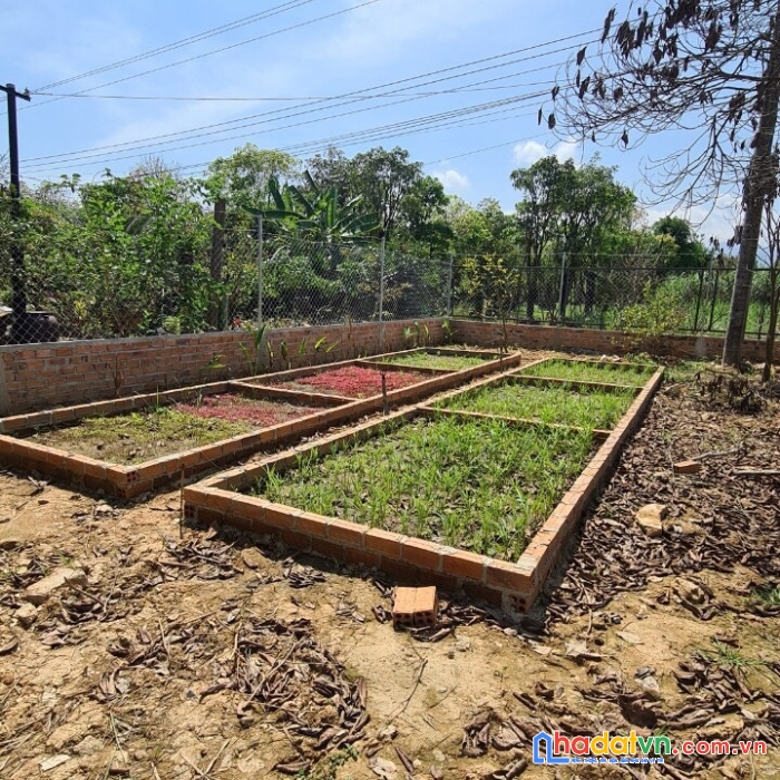 Chính chủ bán đất diên đồng diên khánh siêu đẹp mặt tiền rộng. 