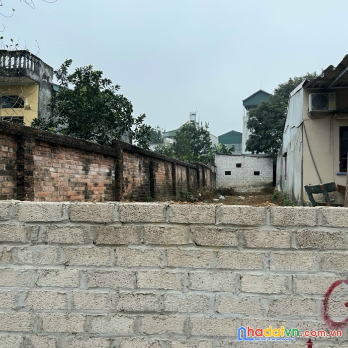 Cần bấn gấp lô đất siêu đẹp tại thân tân an – xã sơn đông – thị xã sơn tây- hà nội