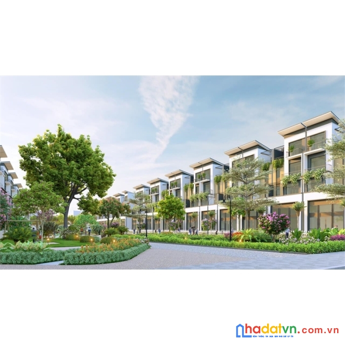 Tại sao phải mua nhà phố dự án t&t city millennia bây giờ?