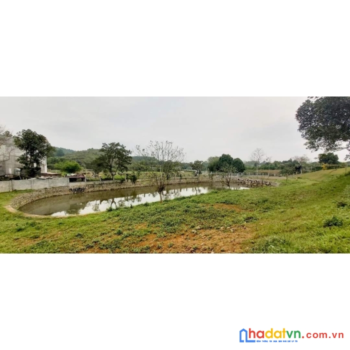 Bán đất làm nghỉ dưỡng cư yên lương sơn hòa bình - 6500m view cánh đồng - có hồ