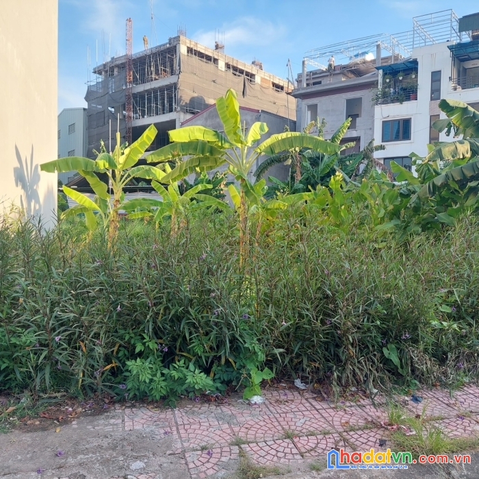 Siêu rẻ đường tđc tư đình chỉ hơn 110tr/m2 90m mt4.5m