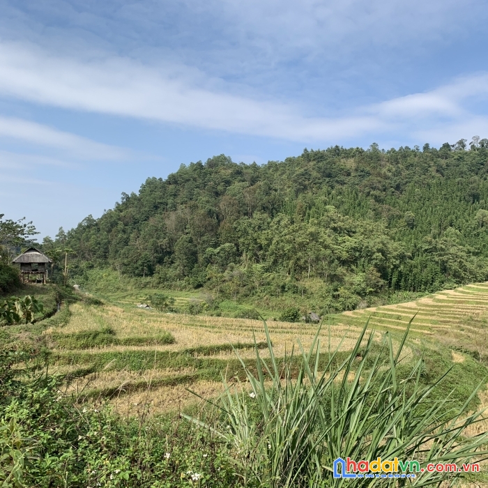 Bán đất bản mừng,xuân phong,cao phong 5.8ha rừng sản xuất view cực đẹp