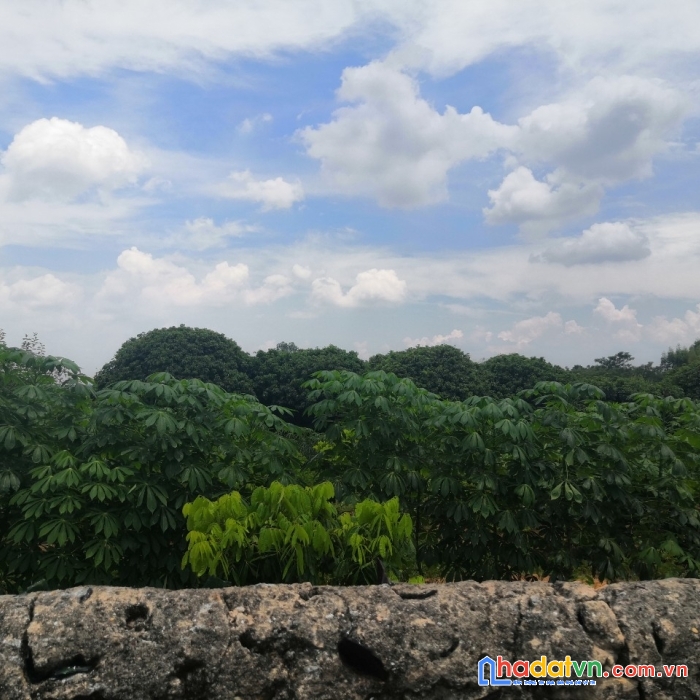 Hoa hậu bán gấp chính chủ bán đất chín thượng, lan mẫu, lục nam, bắc giang ô tô tránh.