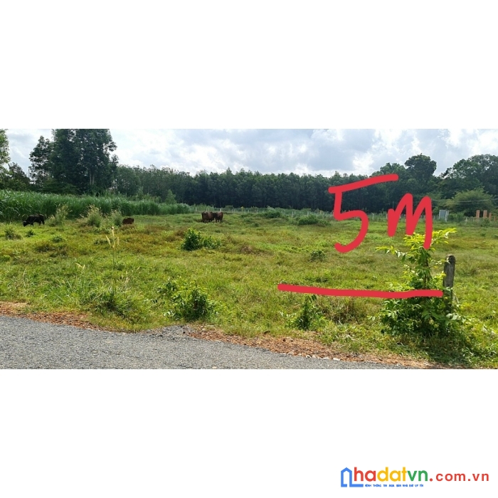 Chính chủ bán đất cây da hiệp thạnh