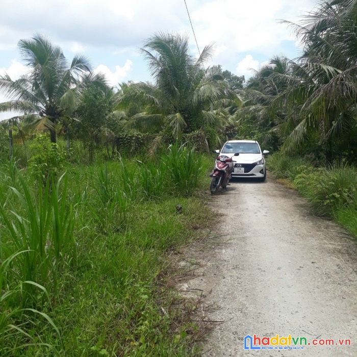 Cần bán đất mặt tiền đường thông vị trí đẹp tiềm năng cao tại tỉnh bến tre