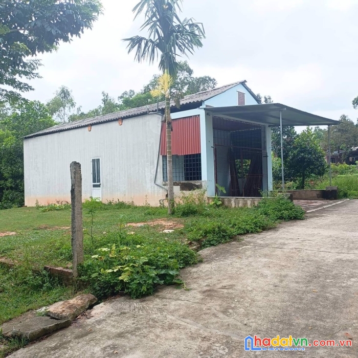 Bán gáp mảnh đất gần cty sam sung thái nguyên