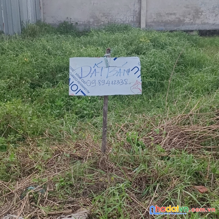 Chính chủ bán miếng đất trồng cây lâu năm dt 4m x 14m ở vĩnh lộc a , bình chánh
