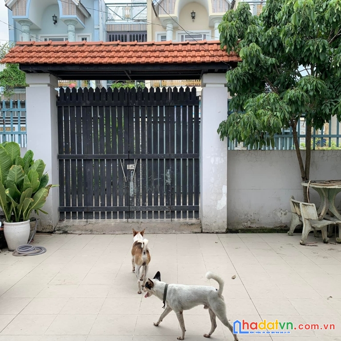 Nhà hóc môn - diện tích 192 m2 - ngang 8m - hẻm 5m ôto  - cách đường tô ký 50m. giá 7 tỷ 8 (