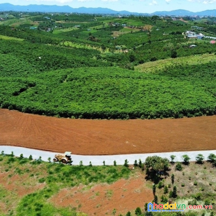 Bán đất nền view đồi săn mây, giá 600trtr,thổ cư 80% ,có sổ sẵn, dân cư hiện hữu tại bảo lộc