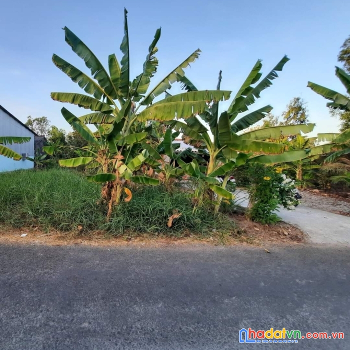 Cần bán lô đất mặt tiền vị trí đẹp tại tp cà mau tỉnh cà mau