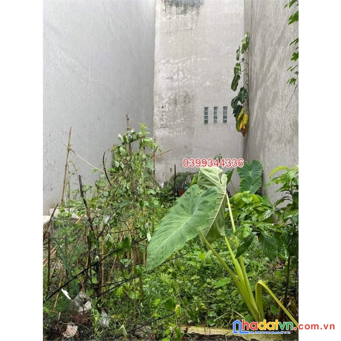 Hiếm bán đất kim giang 40m2, mt 4.3m, ngõ thông ô tô tránh, kd, tương lai sáng, 5.8 tỷ