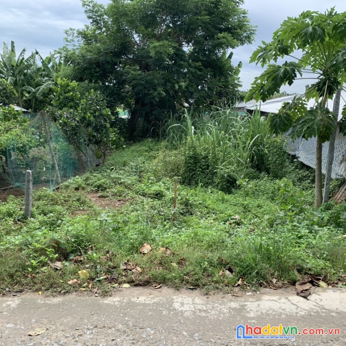 Sở hữu ngay lô đất vị trí đẹp, giá siêu đầu tư tại xã nhị mỹ, huyện cao lãnh, tỉnh đồng tháp