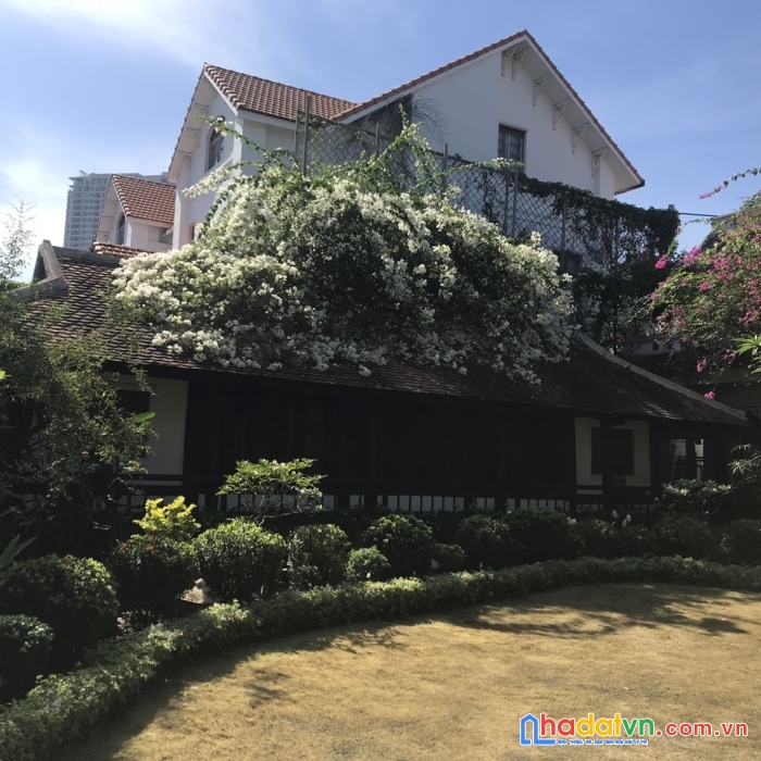 Biệt thự 1000m2 - thảo điền - quận 2  giá cực rẻ