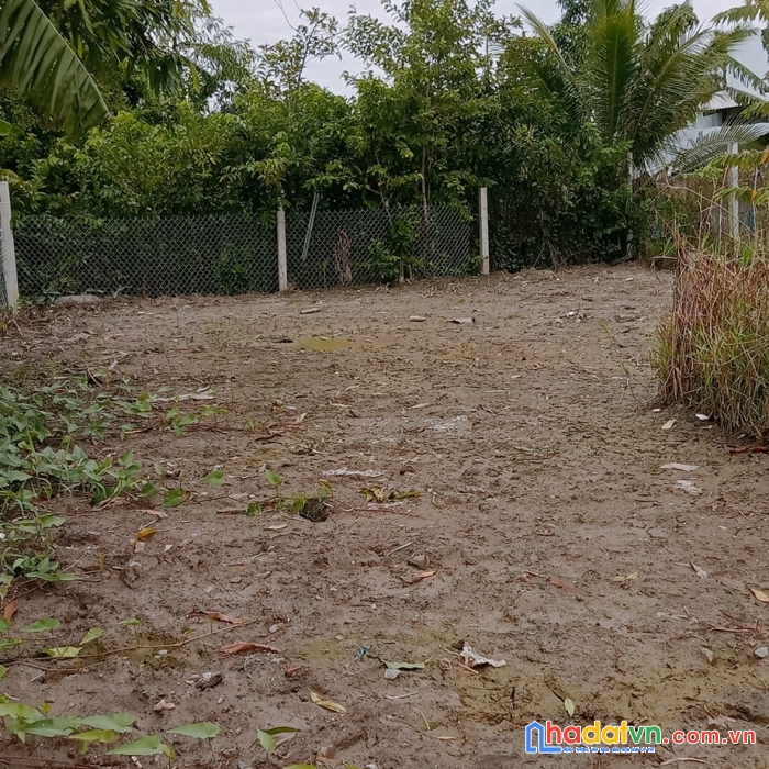 214 giap binh chanh,can giuoc