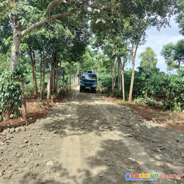 Siêu phẩm dành cho nhà đầu tư.