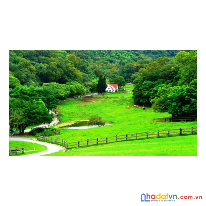 Đại lý bds mộc châu - 0961620007