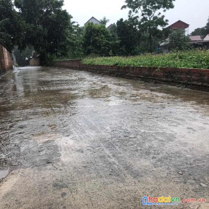 Chính chủ bán 400m thái lai-minh trí-sóc sơn-hà nội