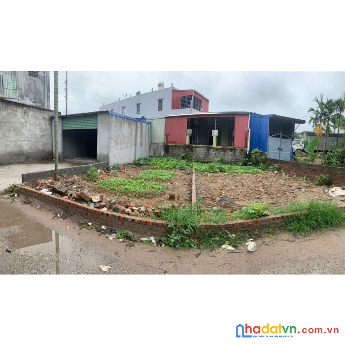 Cần bán gấp 2lô  mặt ngõ 885 nguyễn lương bằng-kiến an