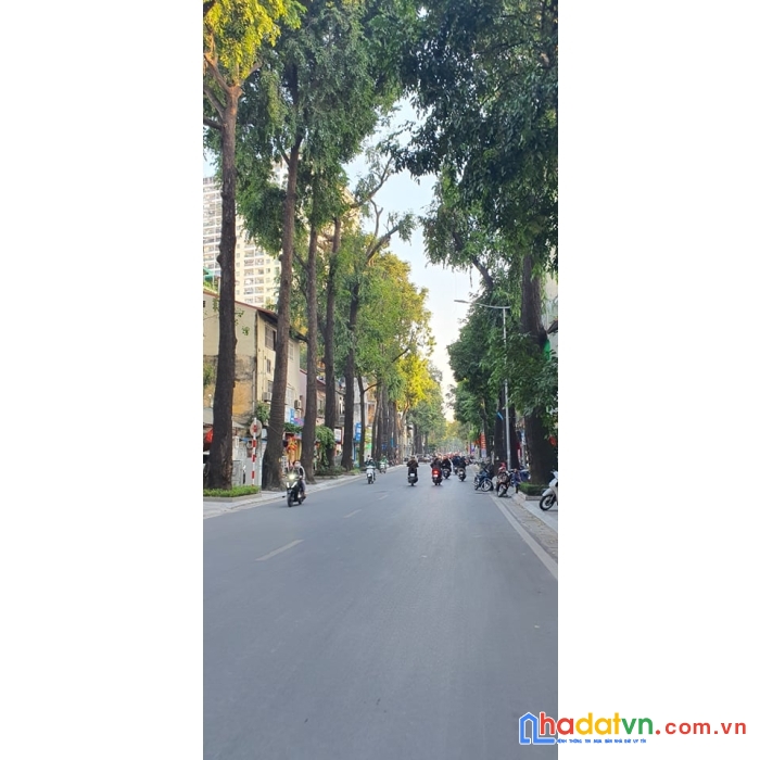 Bán nhà 7 tầng mặt phố lò đúc, diện tích 75m, 54.8 tỷ.