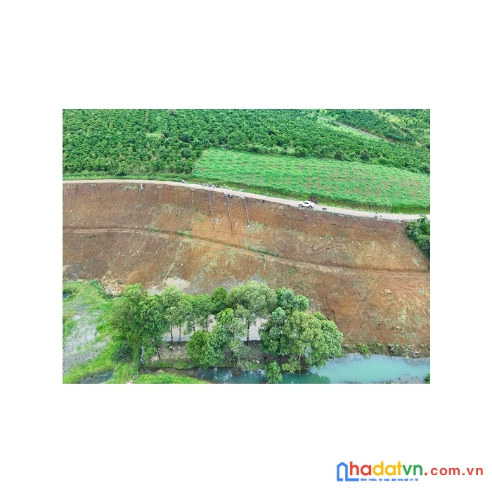 Sành villa bảo lộc .view đồi săn mây