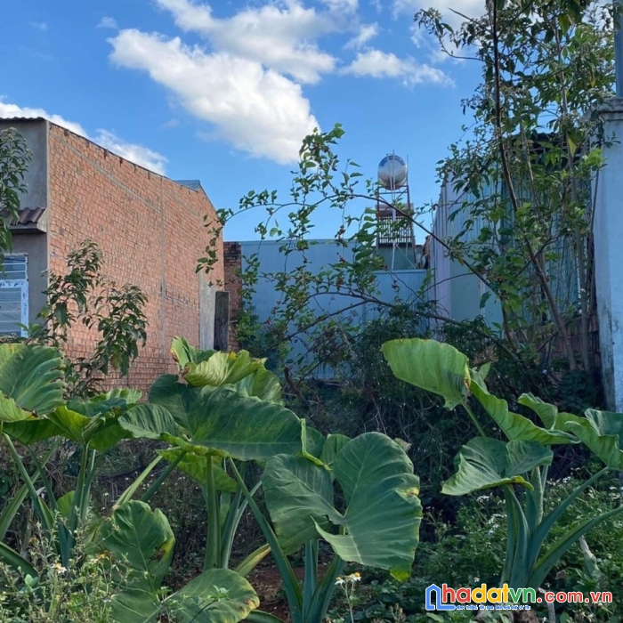 Nhanh tay sở hữu lô đất siêu phẩm có 1 0 2 vị trí đắc địa tại tp pleiku