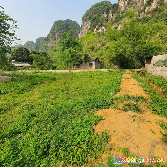 Nhỉm tỷ có ngay lô 1000m đất lương sơn hòa bình view thoáng lưng dự núi