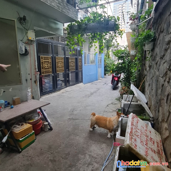 Hẻm xe hơi, đường 3 tháng 2 -  q.10, 5mx18m, 90m2, giá chỉ 11,5 tỷ giá đâu tư, còn thương lượng.