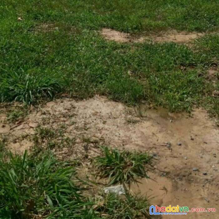 Bán lô biệt thự nở hậu trung tâm hiệp hòa 500m2 đường xe hơi chỉ 6,5 tỷ