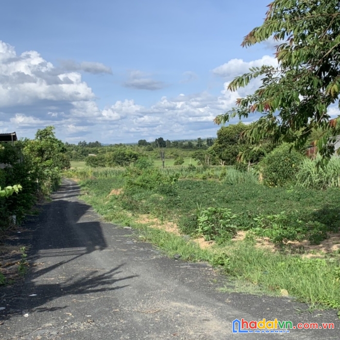 Đất khủng diện tích 1ha1 với 250m mặt đường 600m2 tc