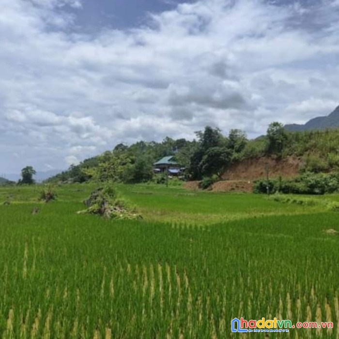 Bán đất thổ cư - nghỉ dưỡng - lương sơn - hòa bình 4500m có hơn 1tr/m