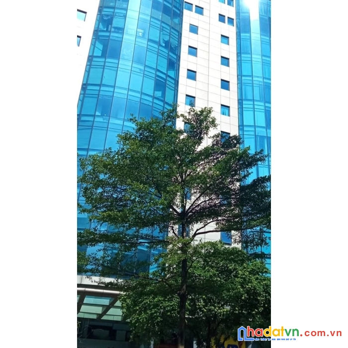 Bán nhà mặt phố cầu giấy 295m2, 13 tầng, mt30m 0909858789