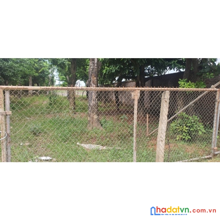 Chính chủ bán lô đất 500 m2 tại km 14 mặt đường đại lộ thăng long xã an thượng hoài đức.hn.
