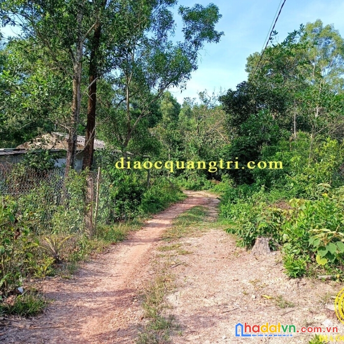 Đất kiệt bảo đại, triệu ái, triệu phong, quảng trị