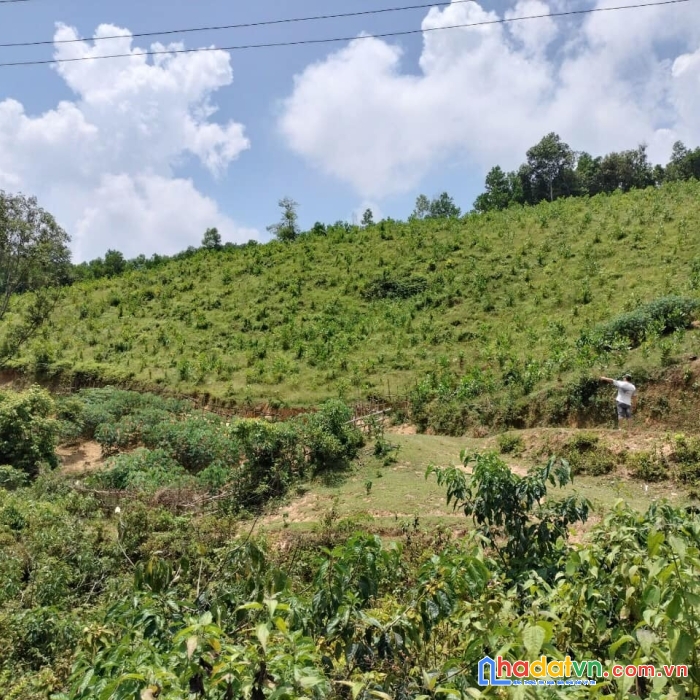 Bán đất rsx kim bôi hòa bình giá nhỉnh 4xx triệu