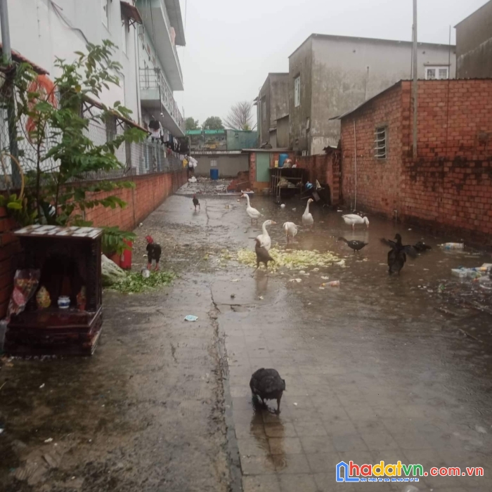 20tr/m2 - (5x50) - linh đông - full thổ - hxh