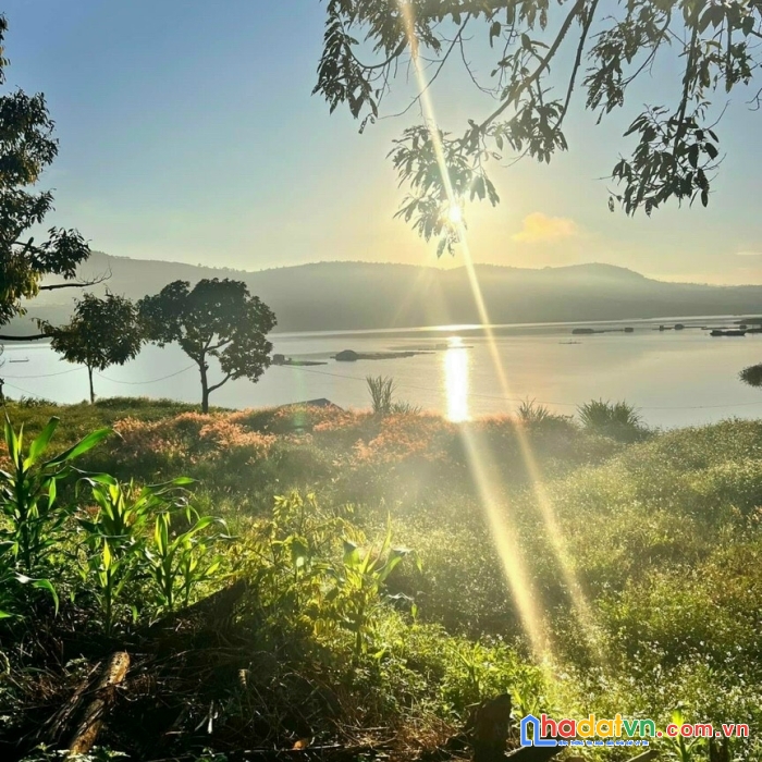 Cần ra sổ gấp lô đất nền thổ cư, pháp lý minh bạch rõ ràng, giá đầu tư.