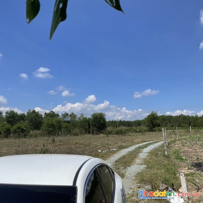 Cần bán đất diên đồng vị trí đẹp tiềm năng cao