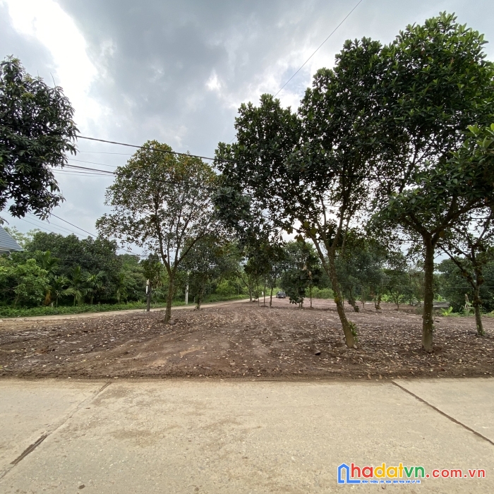 Cơ hội sở hữu đất mặt đường - khu thắng lợi- tt ba hàng đồi - lạc thuỷ -hoà bình