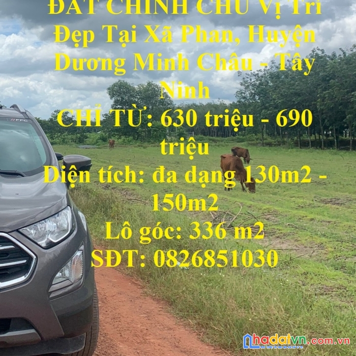 Đất chính chủ vị trí đẹp tại xã phan, huyện dương minh châu - tây ninh