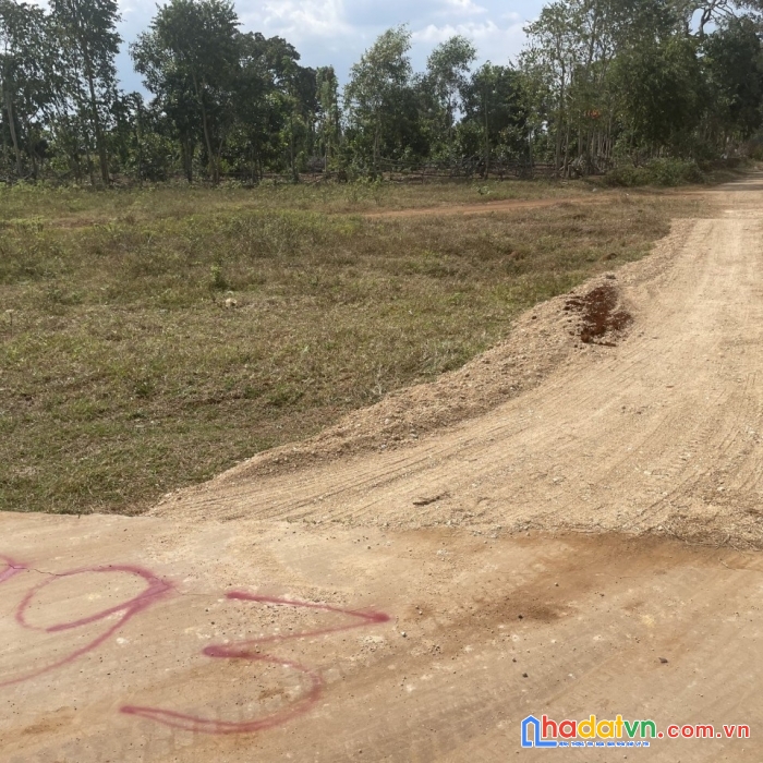 Cần bán2 lô đất nền vị trí đẹp tại bà rịa vũng tàu