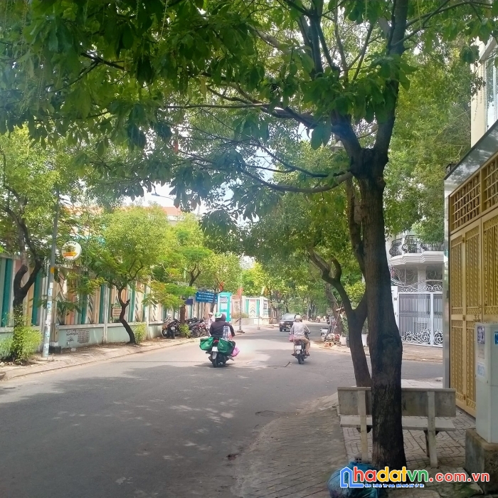 Mặt tiền kinh doanh, khu vip, kế bên phú mỹ hưng quận 7, tân phong, nhỉnh 15 tỷ